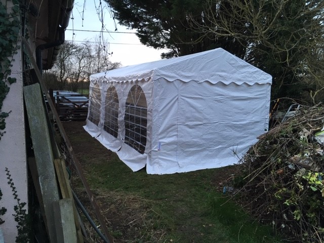 In the Tent 2.jpg