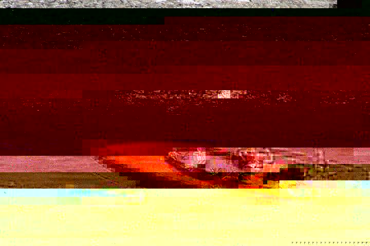 IMG_2349665531976.jpeg