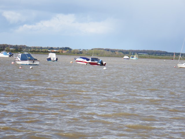 DSCF7367 - Copy - Copy (Small).JPG