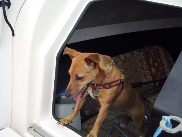 DSCF8184 (Small).JPG