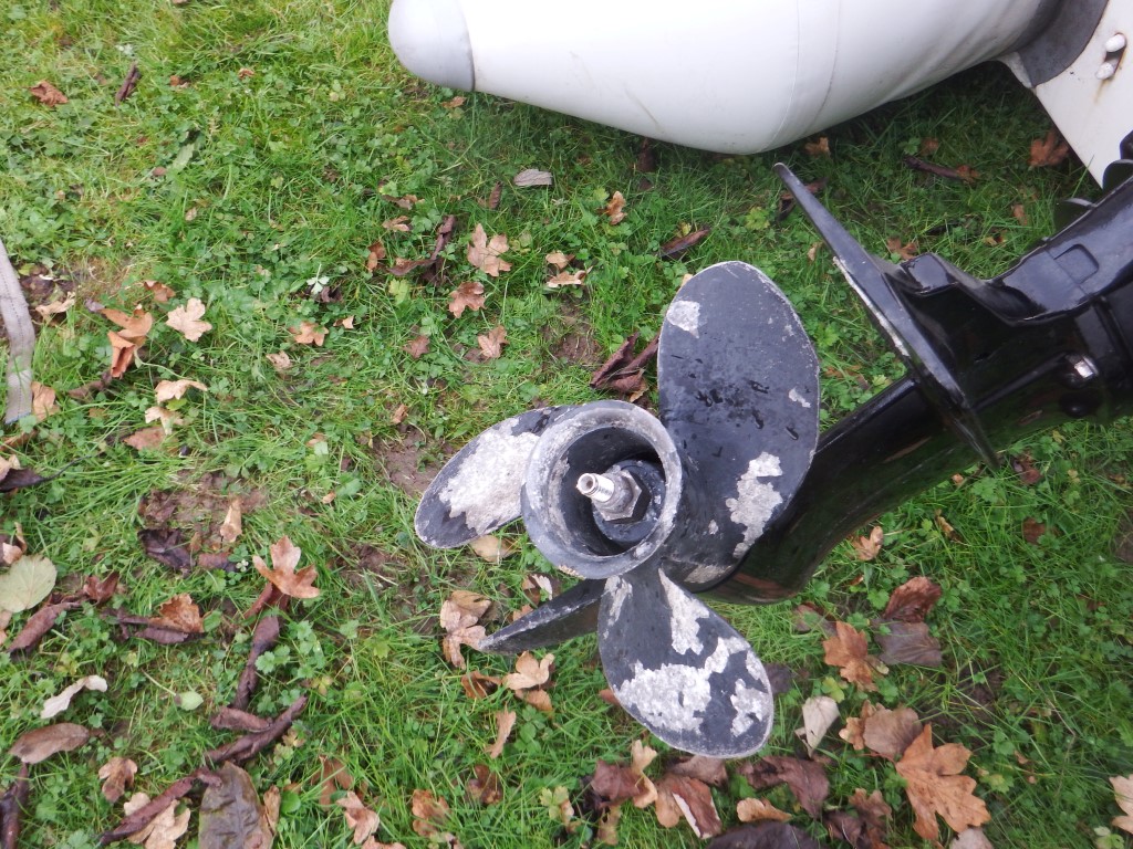 DSCF8547 (Medium).JPG