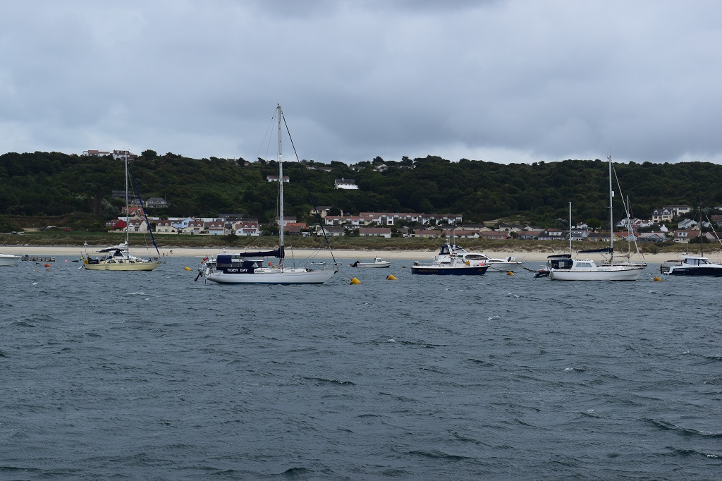 DSC_0102.jpg